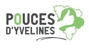 pouces